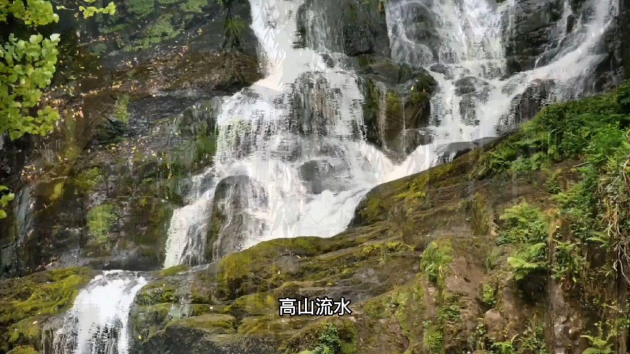 【你通常怎样去上学】的英文翻译？